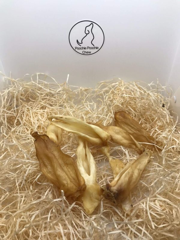 Lamb Ear