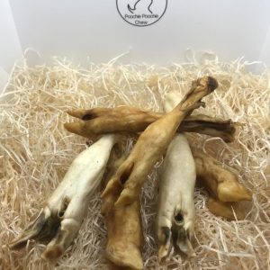 Lamb Trotter