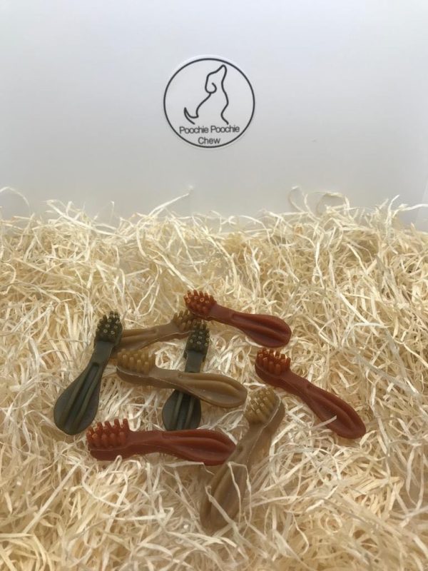 Vegetarian Small Toothbrush/Crocodile