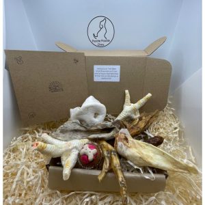 Birthday Box