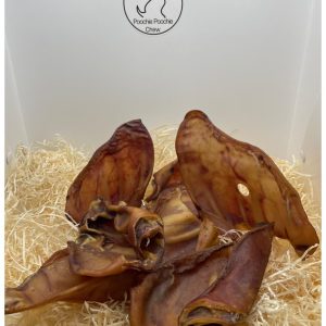 Pigs Ear