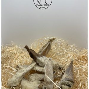 Lamb Ear With Fur