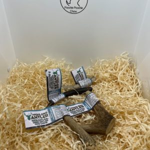 Antler