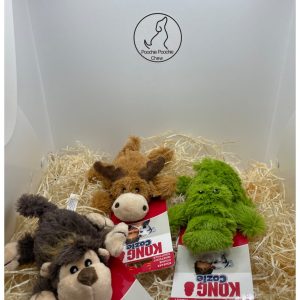 Assorted Small Kong Toy
