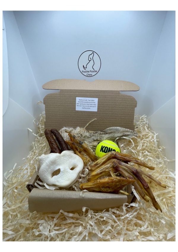 Christmas Box